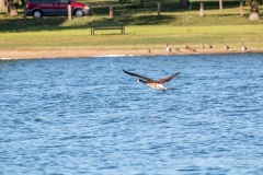 2019Sept12HLSC-12